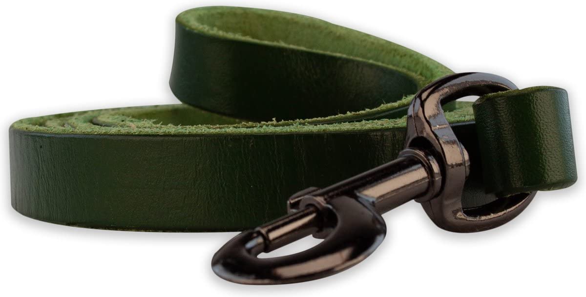 Brute Strength - Leather Dog Leash - 733Ft - Green - Soft And Strong Full Grain Leather Leash For Large And Medium Dogs - Dog Tr