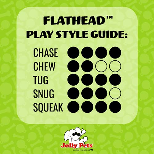Jolly Pets Flathead Tug/Squeak Toy, Large
