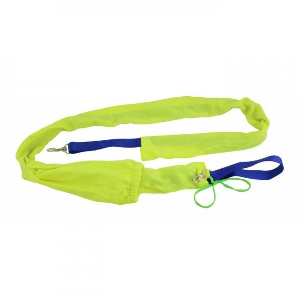 Smart Living Reflective Pet Leash