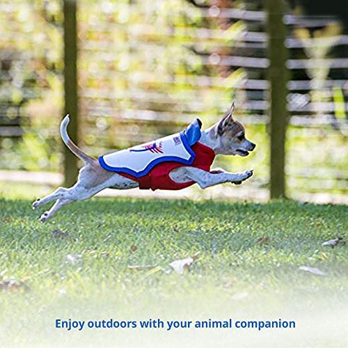 Raptor Shield Puncture Resistant Pet Vest For Small Dogs — Talon-Proof Protection Against Attacks By Coyotes, Hawks, Birds Of Prey, Made In The Usa, Four Sizes— Small, 4-6.5 Lbs, Chest 10.5 To 13.5'