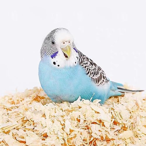MANON ROSA Wood Shavings for Bird Bedding - Natural Aspen Soft Low-Dust & Odor-Control Nesting Material for Parakeets Parrots Ra