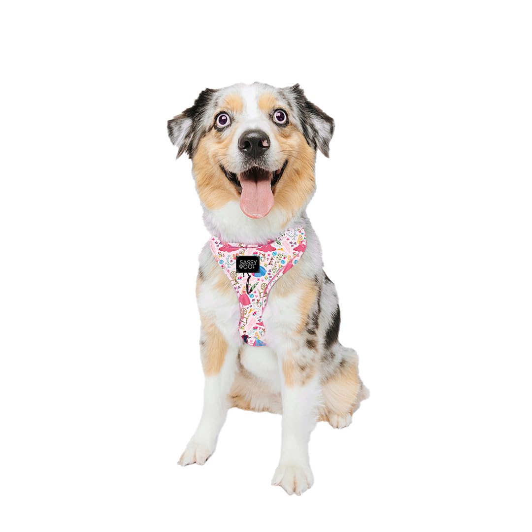 Sassy Woof Dog Adjustable Harness - Disney Princess Sleeping Beauty Aurora - M, Breathable Mesh, No Pull Design With Two D-Rings