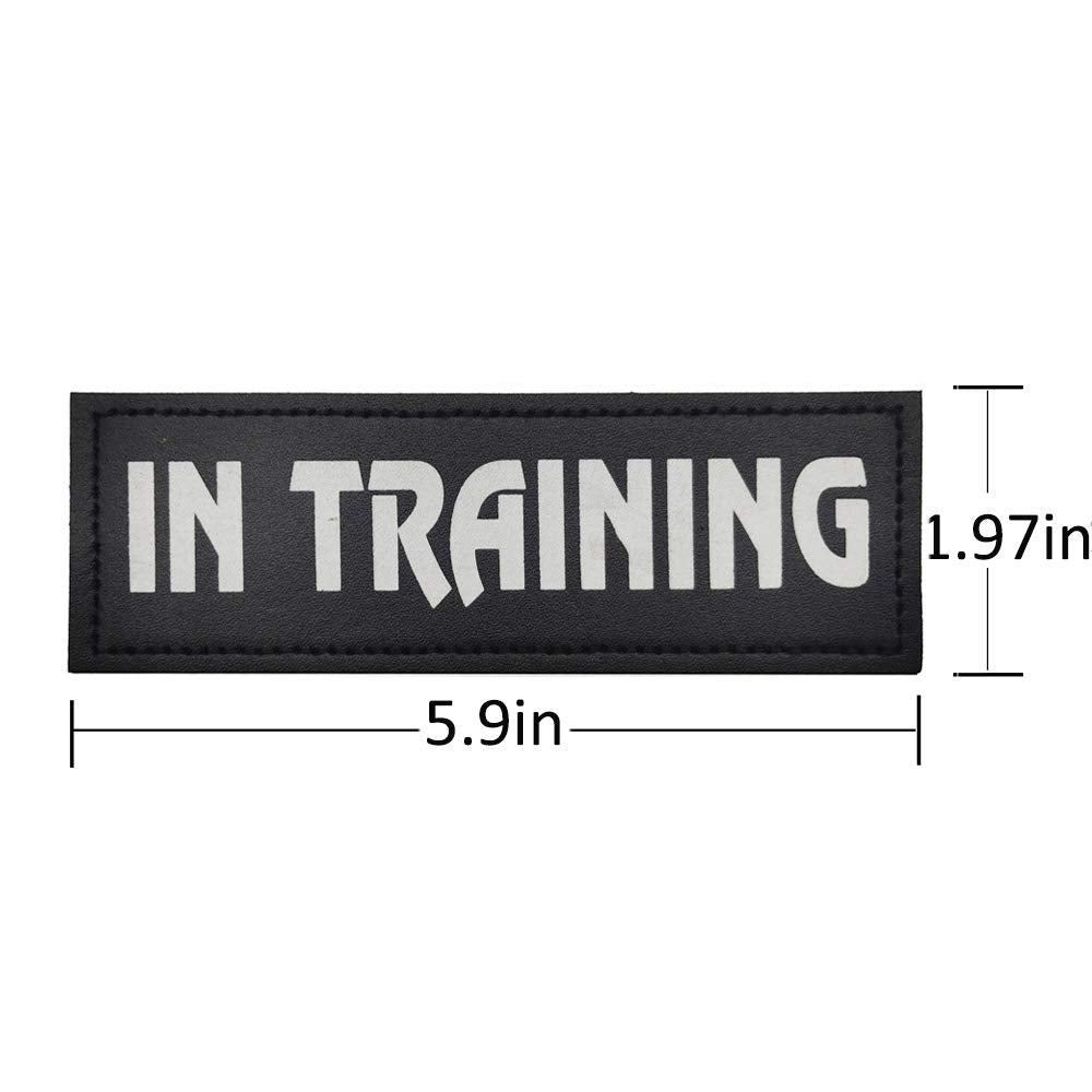 Creator 2 Pack Dog Patches With Hook Backing 2 X 6 Inch -Service Dog, Service Dog In Training, In Training For Harnesses, Collars, Leashes