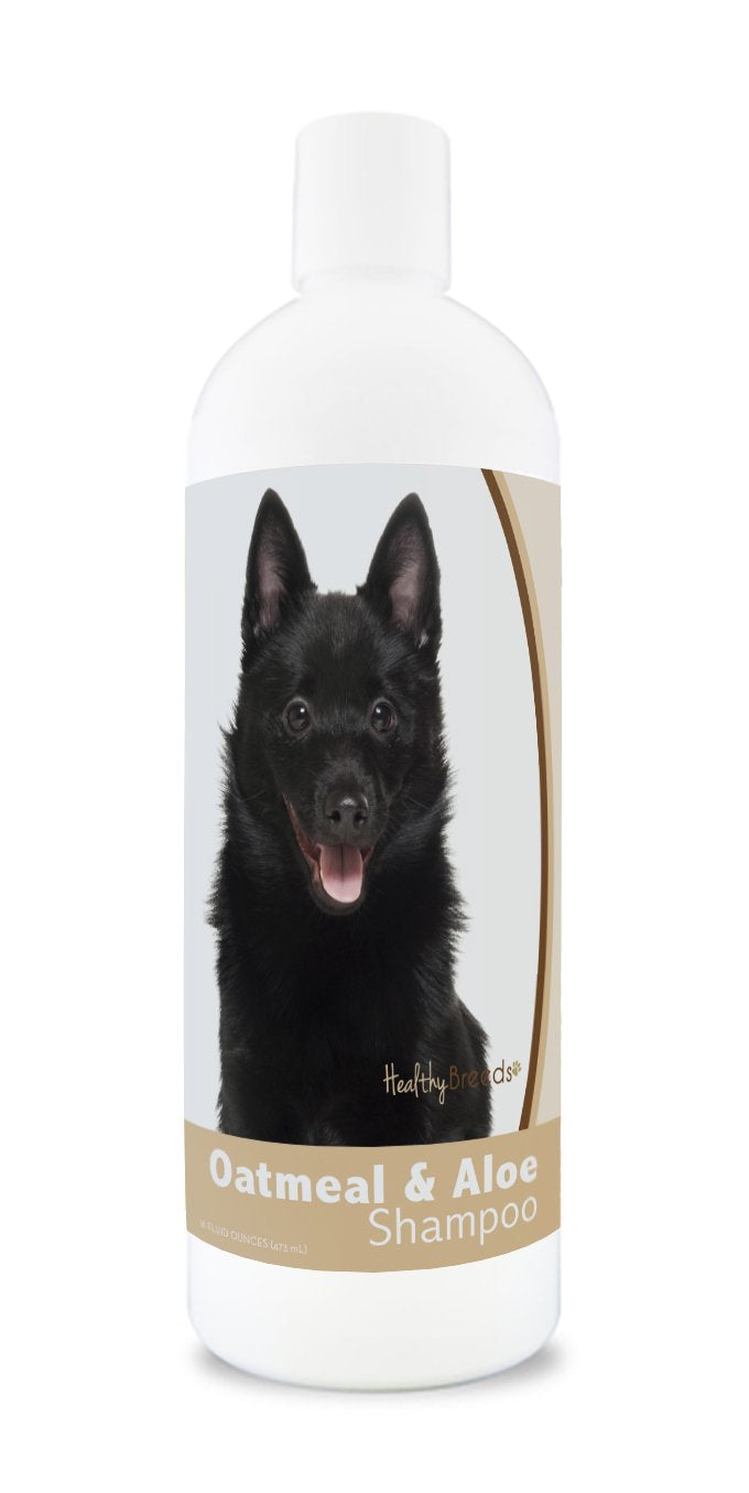 Healthy Breeds Schipperke Oatmeal Shampoo With Aloe 16 Oz