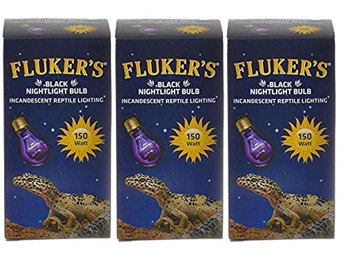 Flukers Black Nightlight Incandescent Bulb 150 Watt - Pack Of 3
