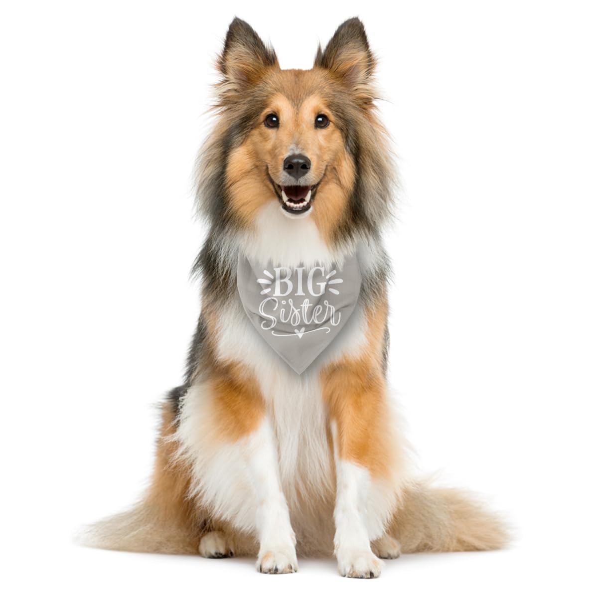 Big Sister Dog Bandana - Light Gray Pet Scarf Accessories, Triangle Bandana For Large Dogs, Baby Announcement (L)