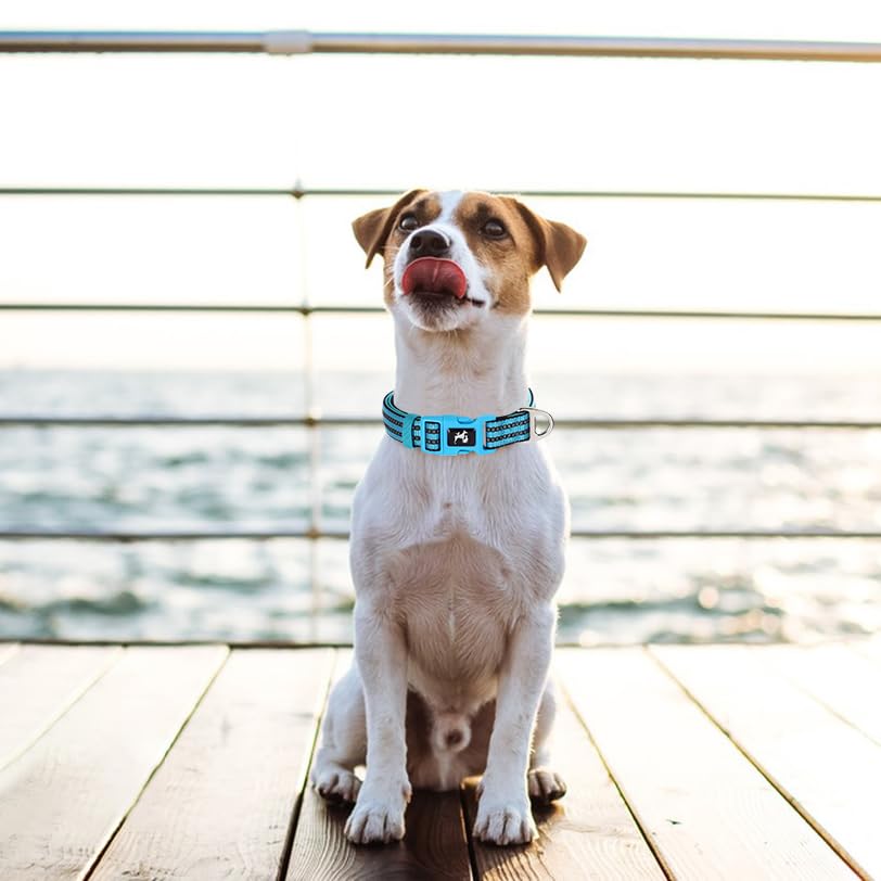 Reflective Dog Collar With Soft Neoprene Padded, Adjustable Breathable Nylon Comfort Durable For Safety Night Visibility - Gift