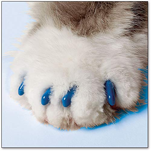Soft Claws For Cats - Cls (Cleat Lock System), Size Small, Color Blue