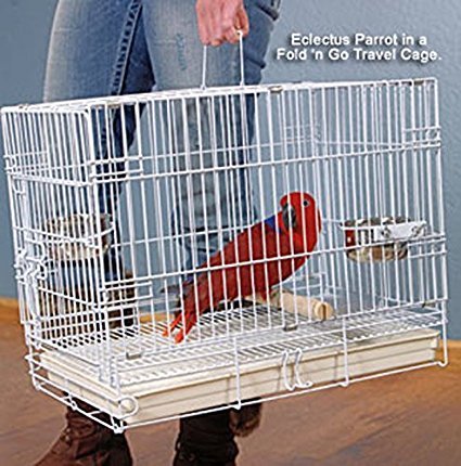 Large Easy Collapsible Travel Vet Bird Parrot Carrier Metal Cage Bar Spacing 1.25-Inch Prevent Your Parrot Bird Beaks Out With S