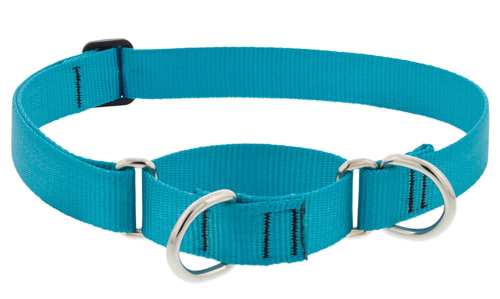 Lupine Martingale Dog Collar 1 Wide Aqua Adjusts 15 To 22