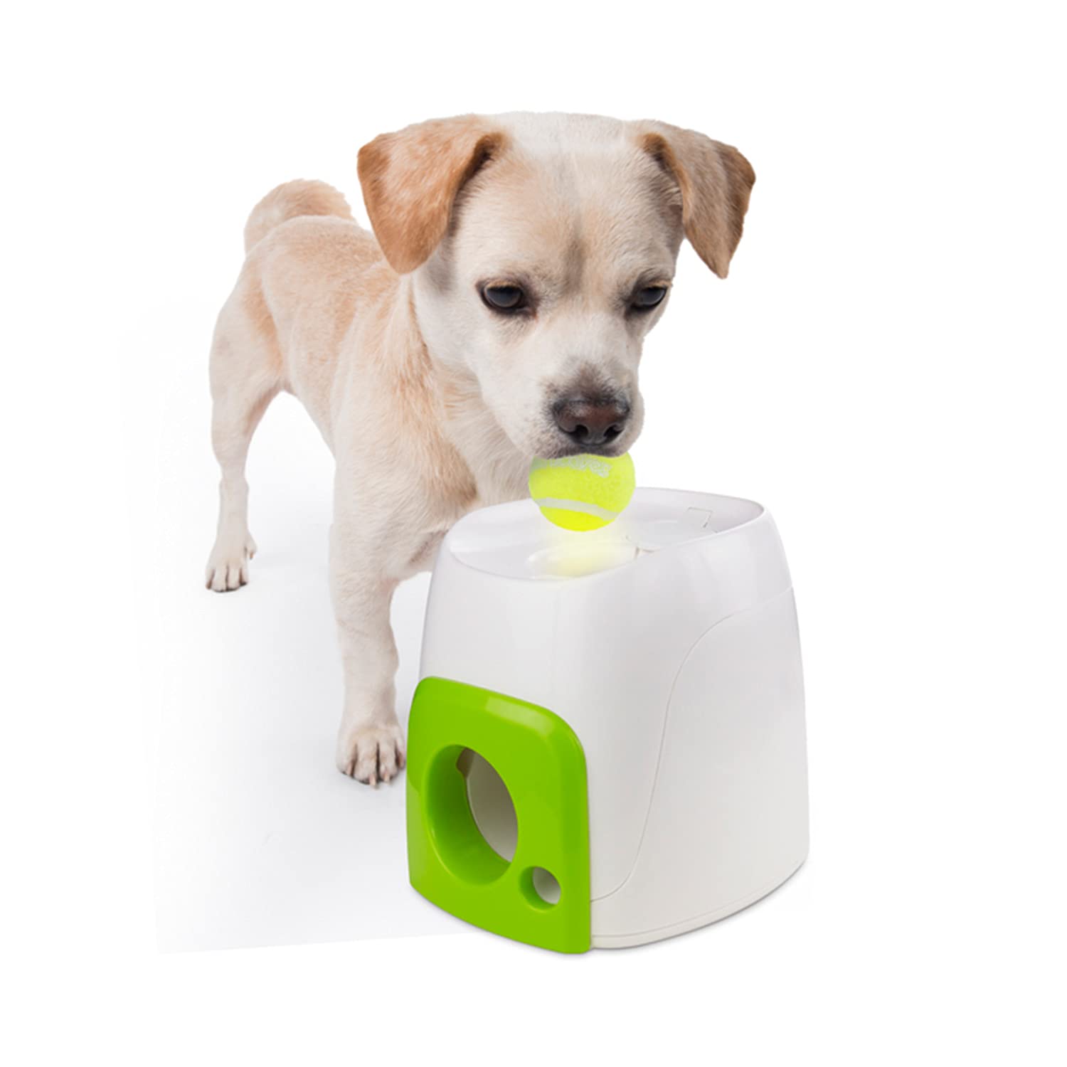 ALL FOR PAWS Interactives FetchN Treat Toy for Dogs Multi