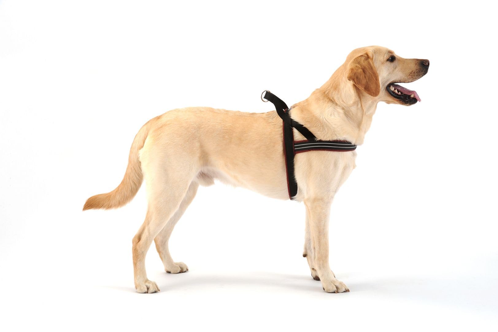 ComfortFlex Sport Harness - American Made No Pull Dog Harness for Small, Medium, Large Dogs - Padded, Reflective No Rub Harness