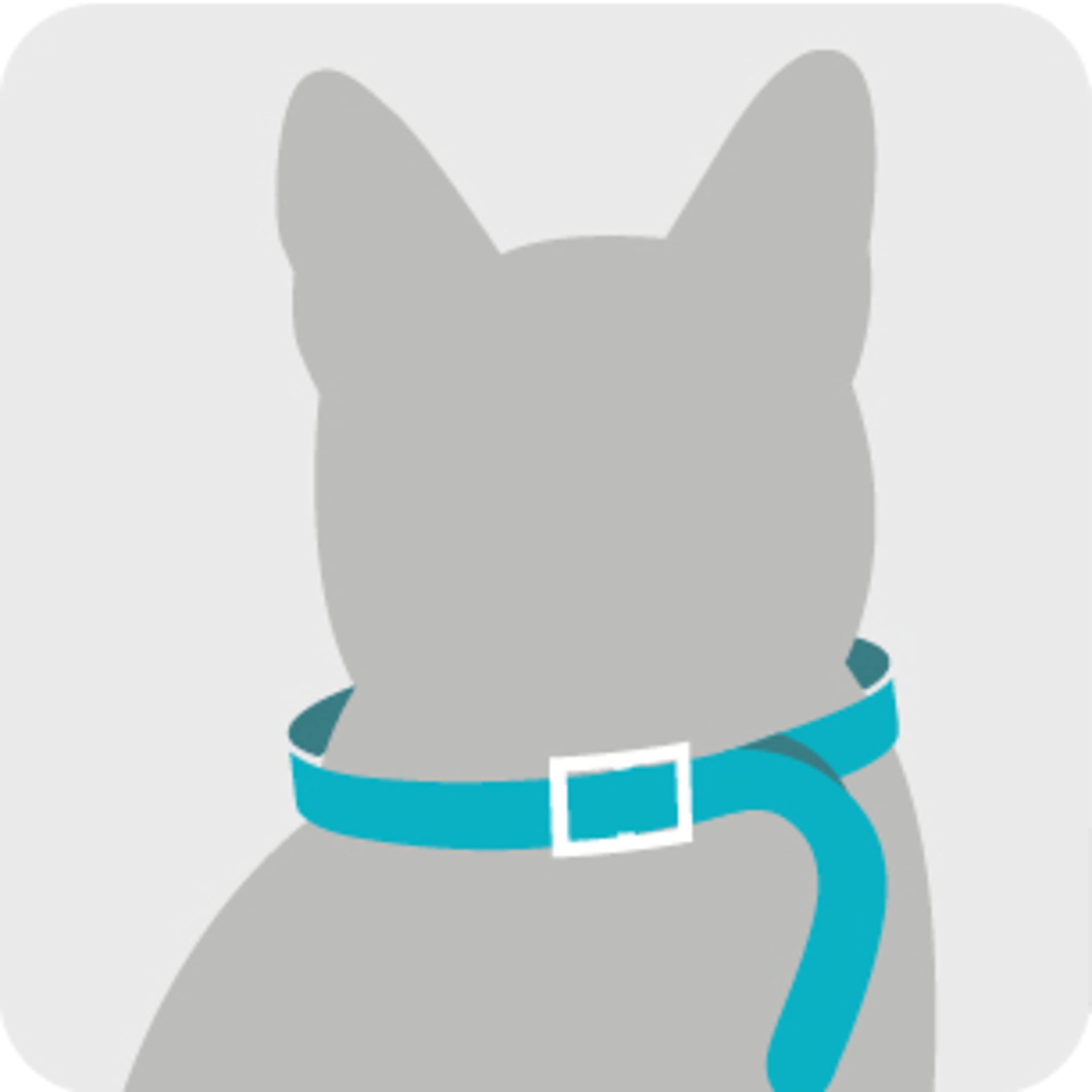 Sergeant'S Guardian Flea & Tick Cat Collar, 1 Count