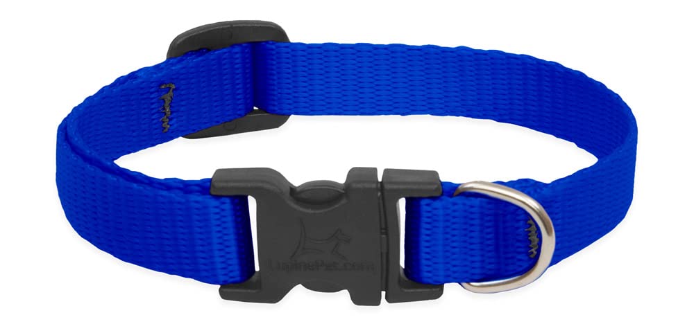LupinePet Basics 1/2'' Blue 8-12'' Adjustable Collar for Small Dogs