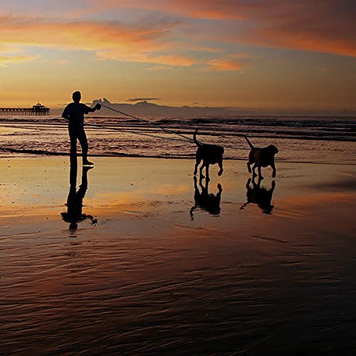 Plutus Pet Long Rope Dog Leash, With Comfortable Padded Handle, Reflective Nylon Heavy Duty Rope Leash, 15Ft 20Ft 30Ft 50Ft 66Ft Dog Training Leash For Small Medium Large Dogs (66Ft, Black)