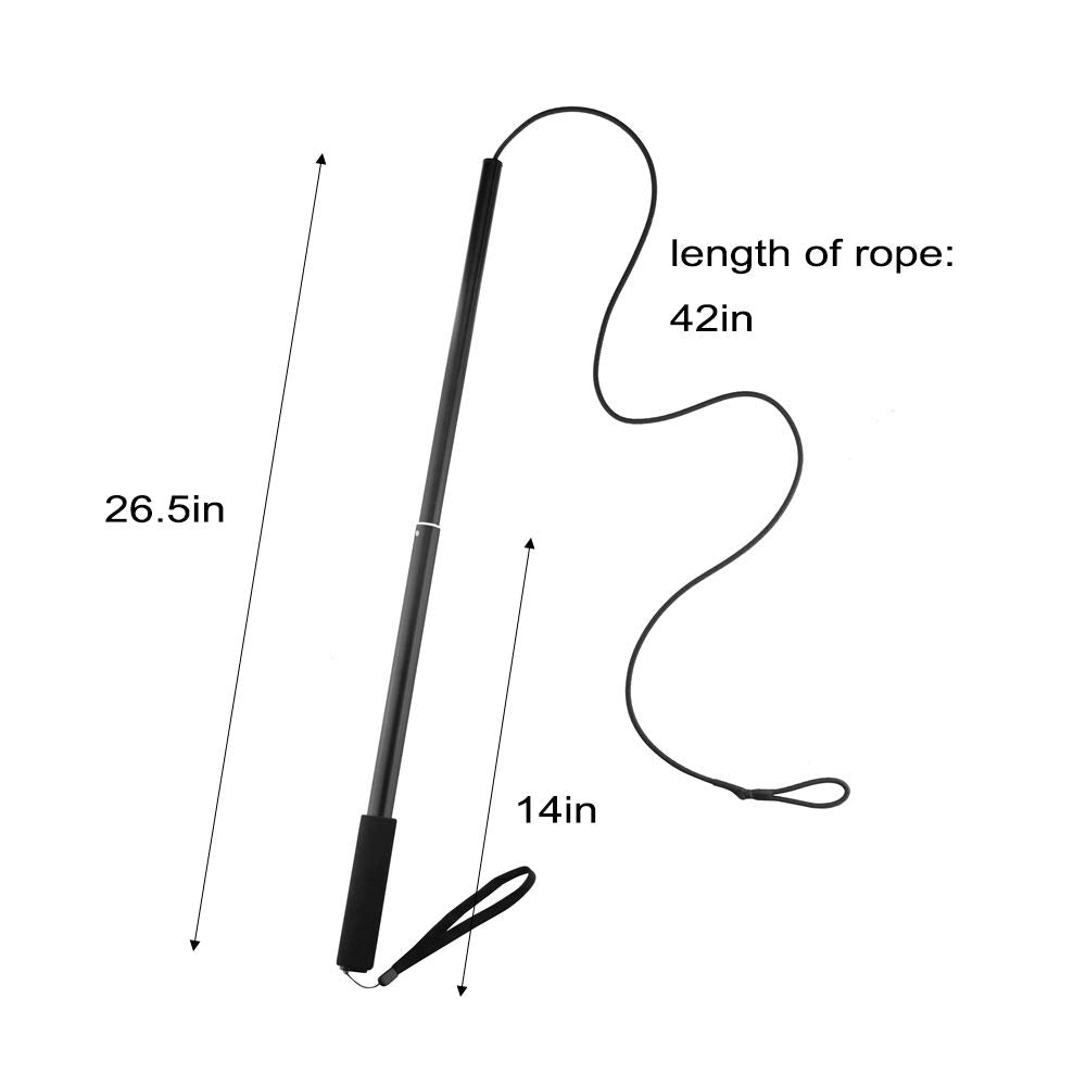 Amyese Interactive Dog Toys - Extendable Flirt Pole With 2Pcs Fleece Lure Tugs For Dog Outdoor Entertainment, Train And Exercise, New Blue