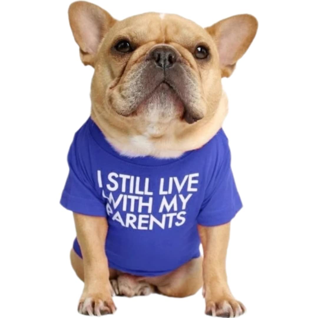 Kutkut Dog Breathable Stretchy Round Neck T-Shirt I Still Live With My Parents Pet Puppy Cats Dog Summer T-Shirts Soft Cotton Cl