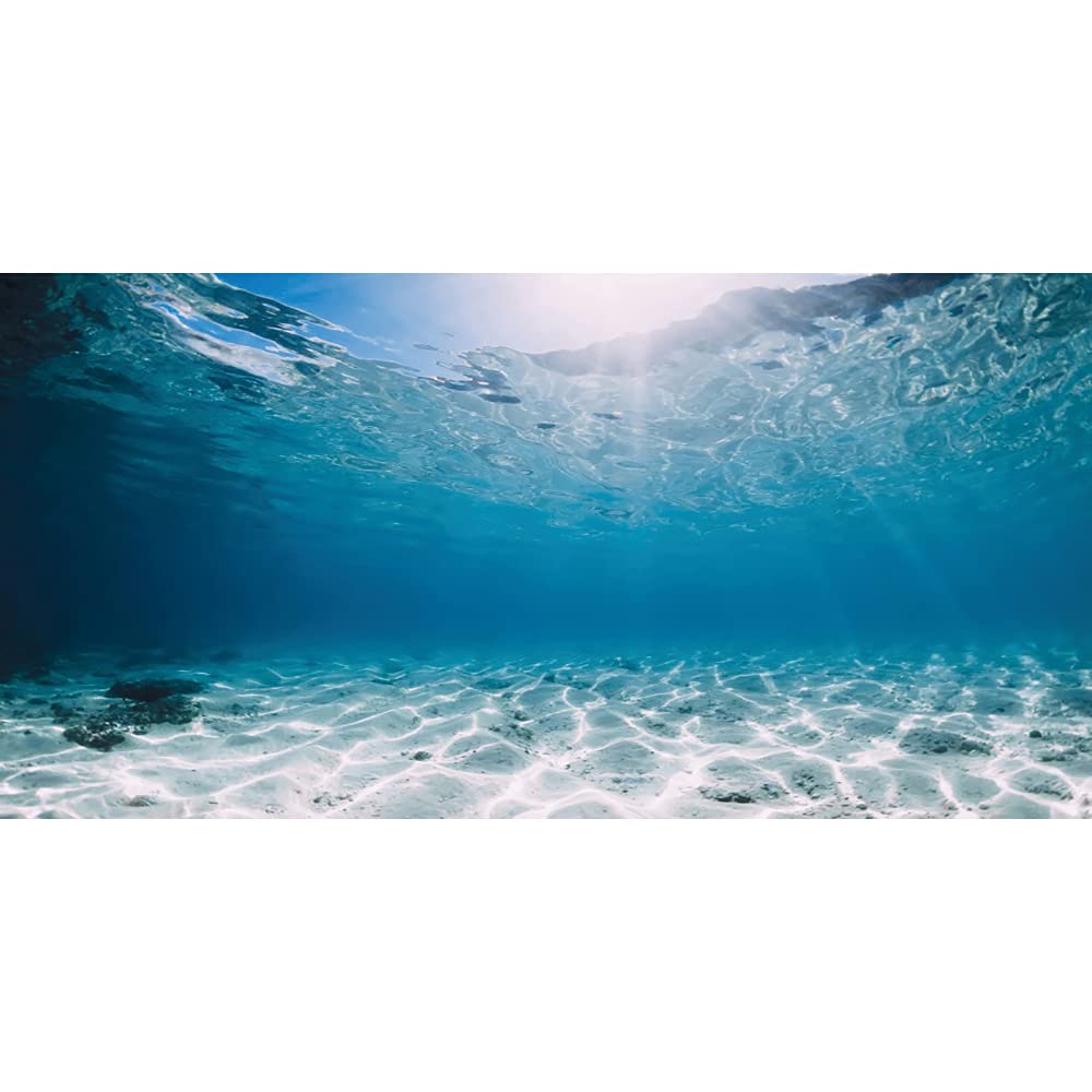 Awert 24X12 Inches Polyester Undersea Theme Ocean Floor Aquarium Background Tropical Fish Tank Background