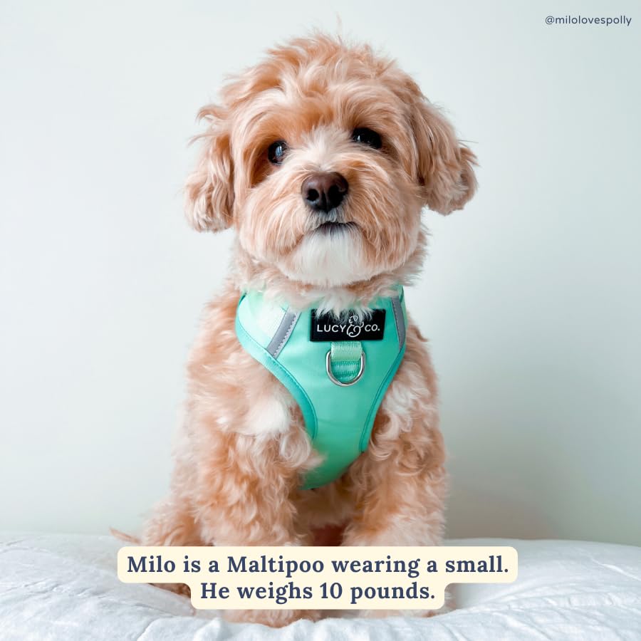 Lucy & Co. The Spring Green No-Pull Dog Harness - Size Large - Vest to Stop Pulling & Walk Easy - Comfortable Leash Training Pro