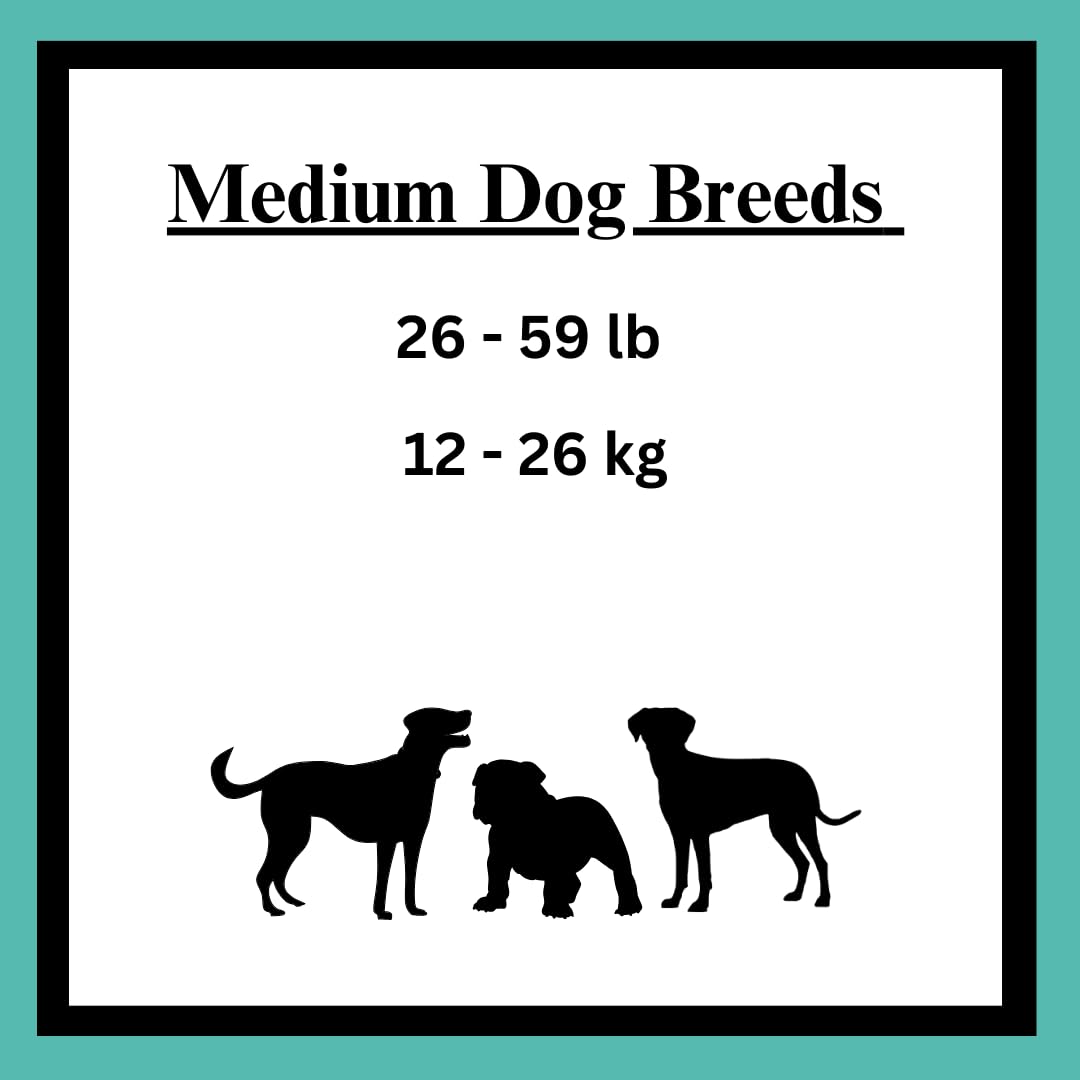 AccessiPets Dog Treats Bundles for All Sized Dogs, Soft Chews Jerky Treat Variety Pack Bundle with 1 Waste Bag Roll (1 lb, Chick