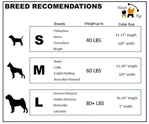 Native Pup Colorado State Flag Dog Collar (Colorado Pink, Large)