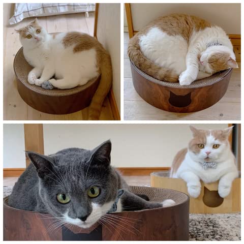 NECOICHI Cozy Cat Scratcher Bowl - 100% Recycled Paper, Chemical-Free, Dark Cherry, Regular Size