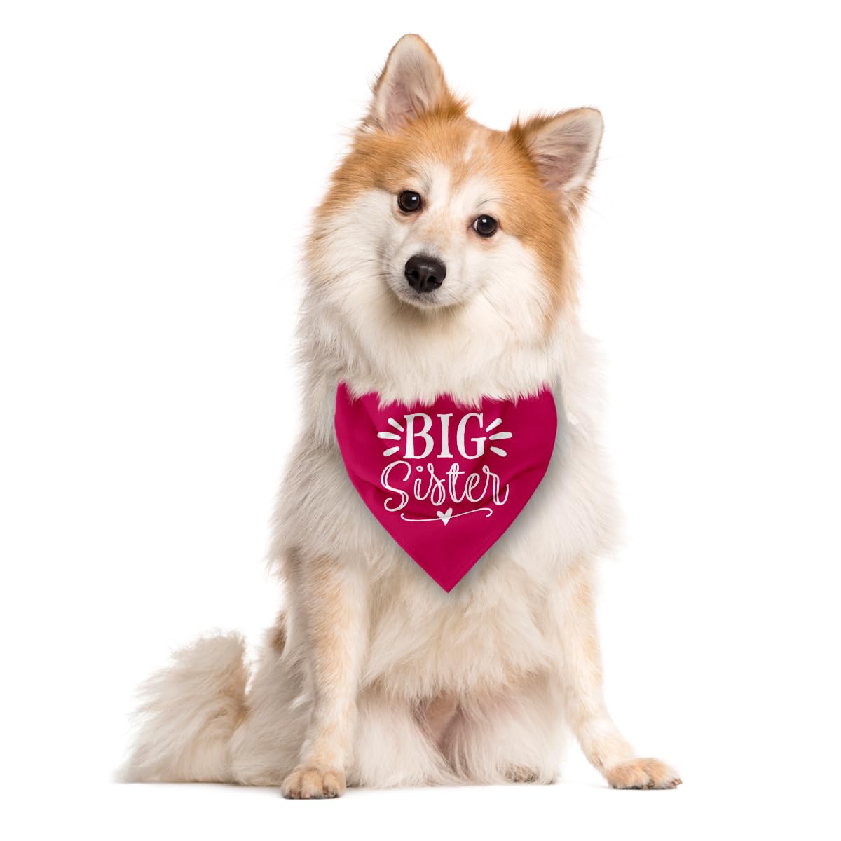 Big Sister Dog Bandana, Dog Bandana, Deep Pink Pet Dog Scarf Accessories, Pet Dog Triangle Scarf, Dog Bandana For Small Medium D