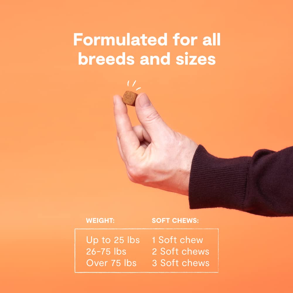 Open Farm Probiotic Chews, Dog Supplement, Dog Vitamins, Supports Normal Flora and Bowel Movement Using Traceable and Vet-Approv