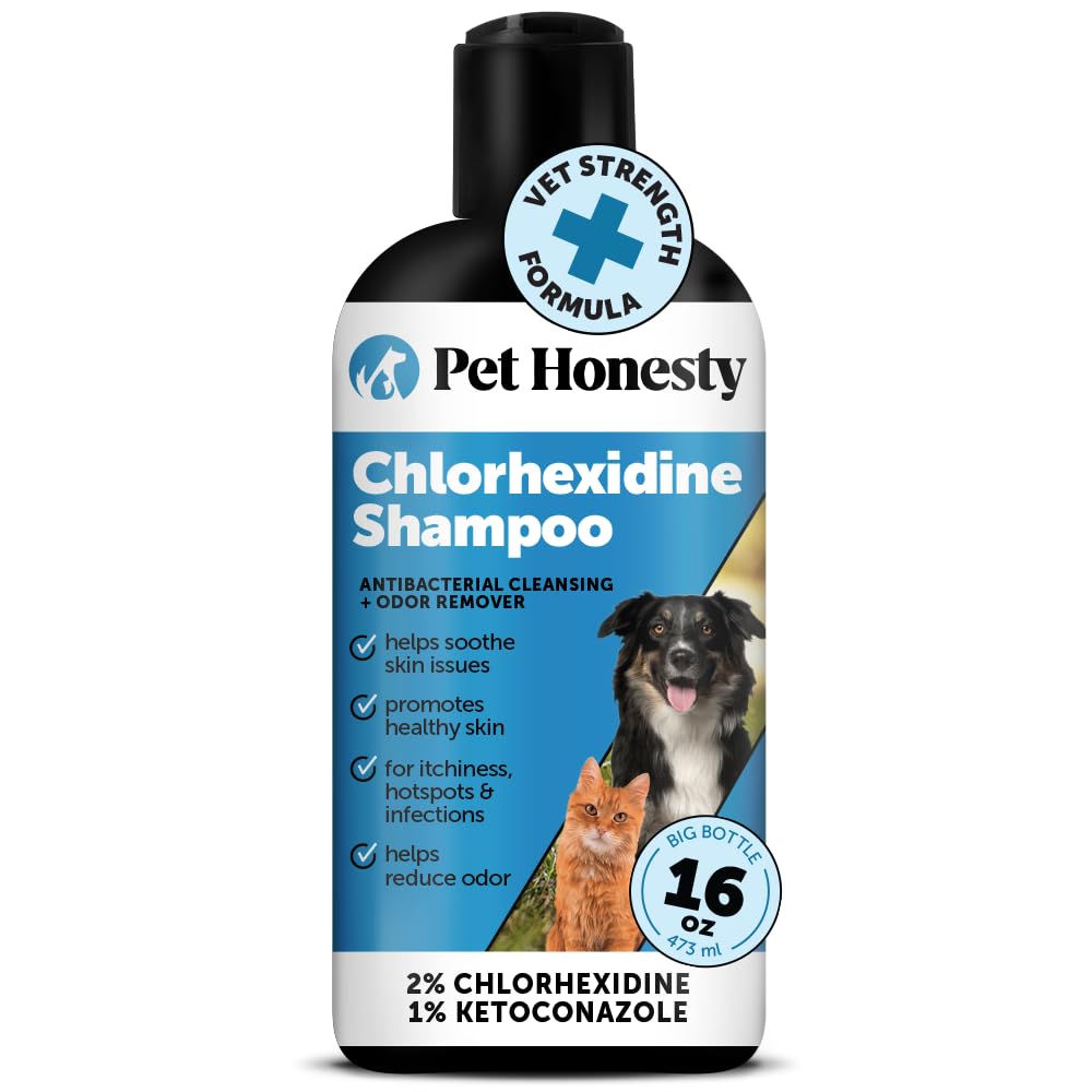 Chlorhexidine Cat & Dog Seasonal Itch Relief Shampoo, For Allergies, Itching, Skin And Coat Supplement, Helps Shedding, Hot Spot