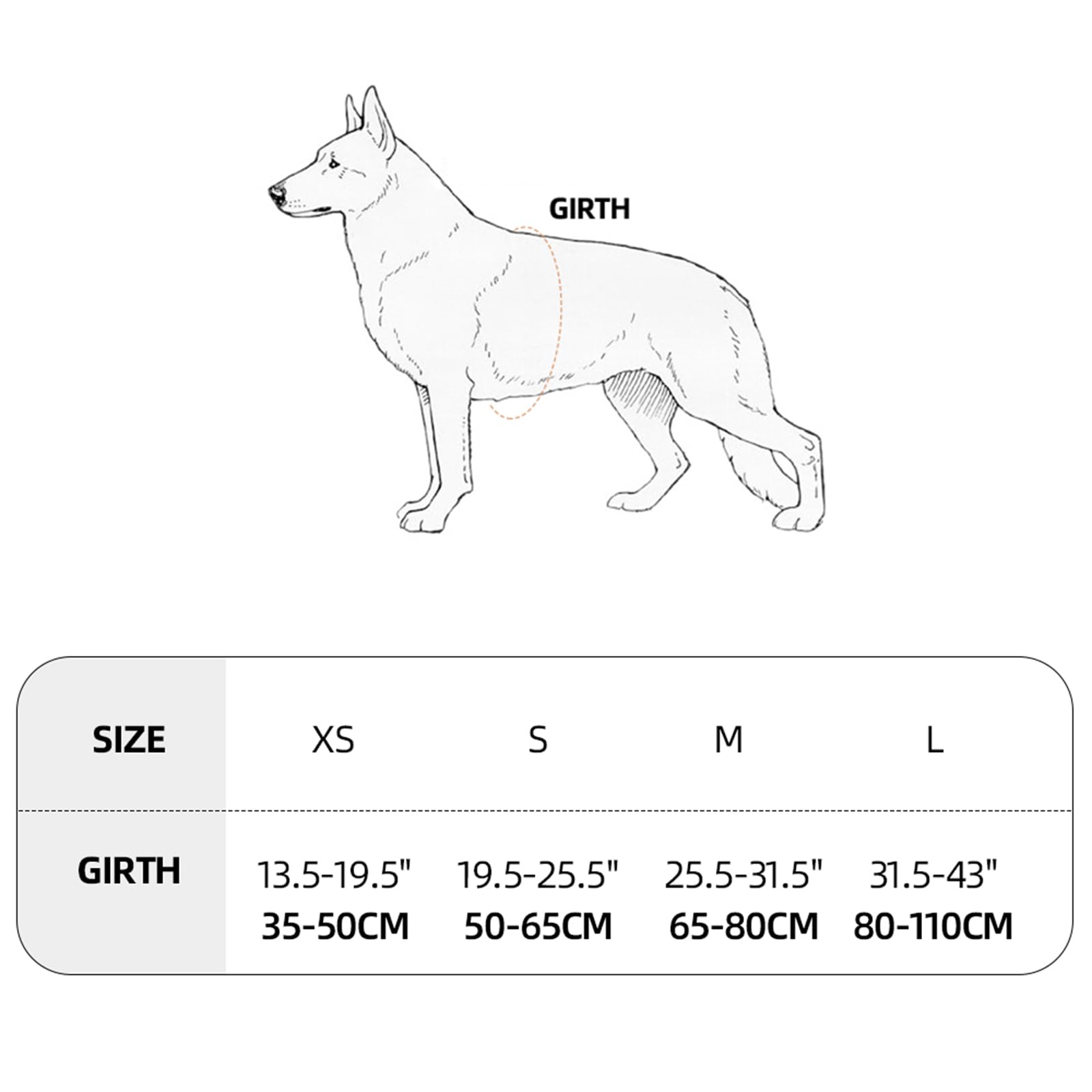 Excellent Elite Spanker No Pull Dog Harness Padded Dog Harness Adjustable Nylon Small Dog Harness Walking Dog Harness For Training Running(Blk-L)