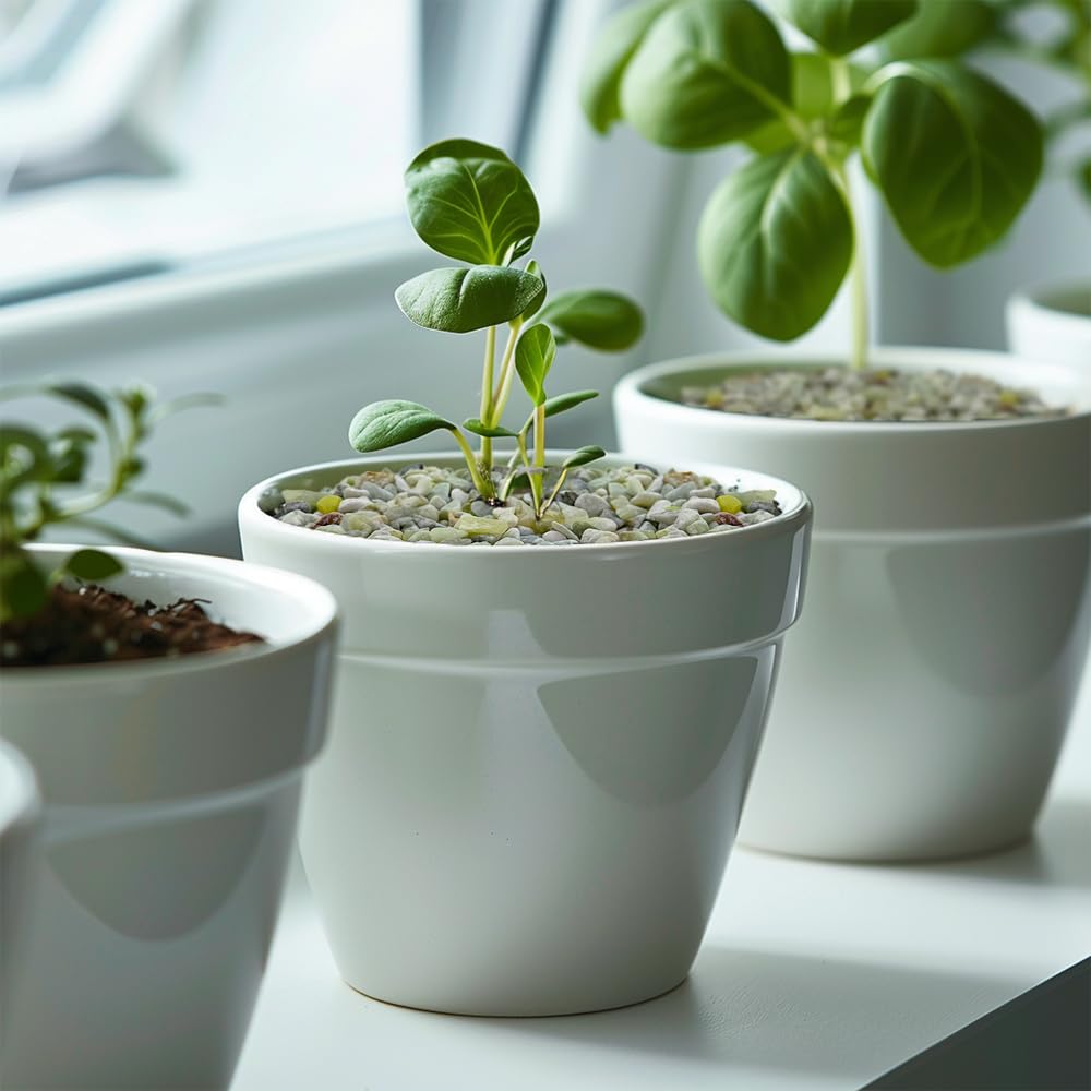 Small Natural Rocks Decorative Pebbles Tiny Gravel for Aquarium Gravels,Fish Turtle Tank,Soil Cover, Indoor Outdoor Garden Succu