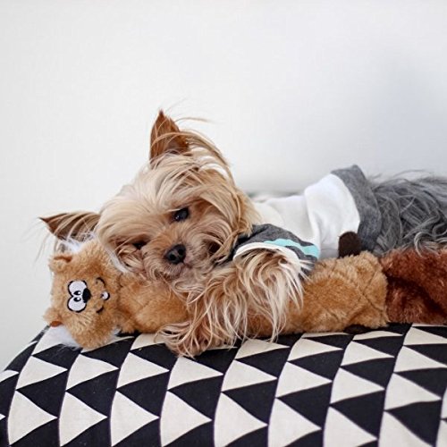 Zippypaws - Jigglerz Tough No Stuffing Squeaky Plush Dog Toy With Crinkle Head And Tail - Chipmunk