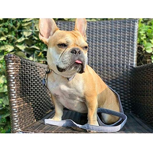 Lionet Paws Cotton Handmade Dog Leash Grey Lines Unique For Small Medium Large Dogs