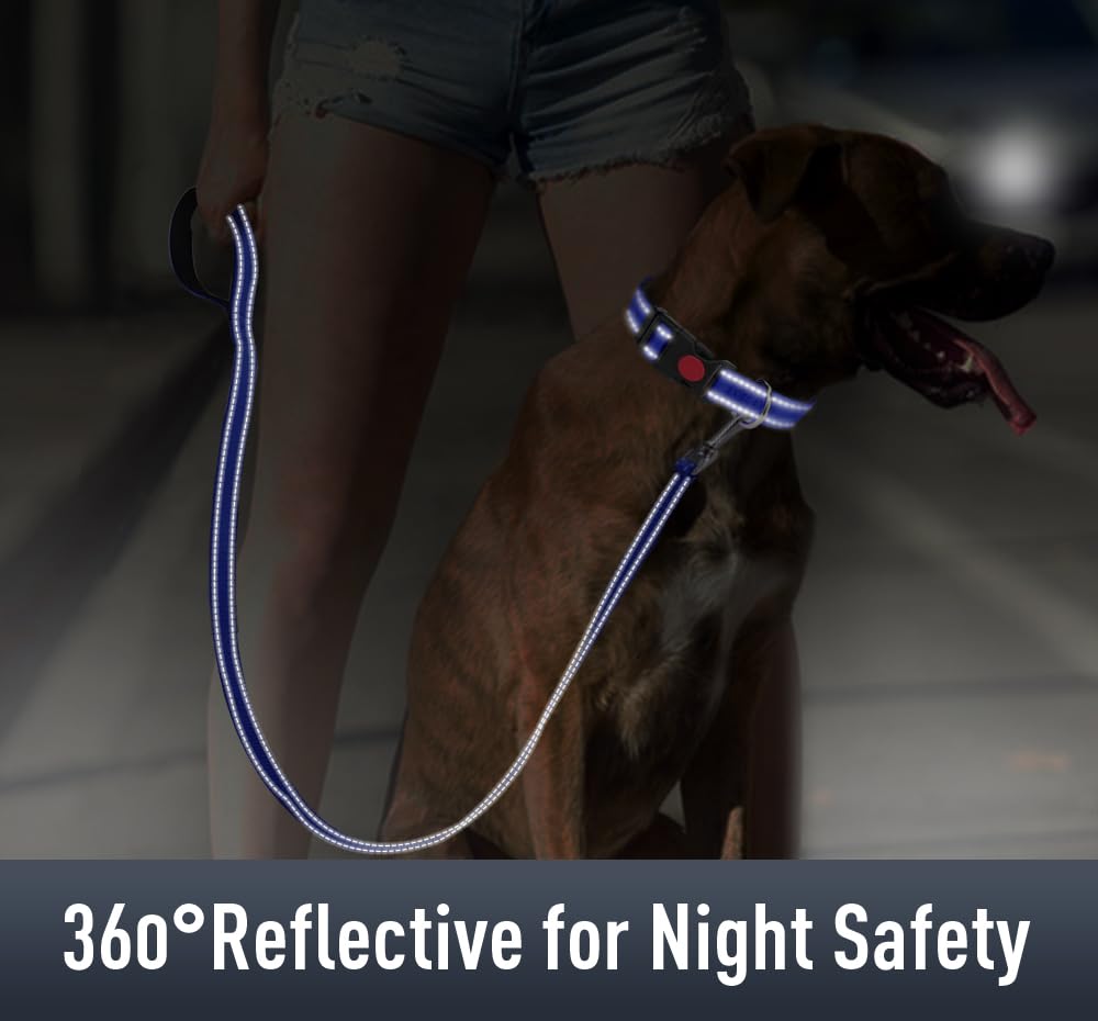 Erbine Airtag Dog Collar With Airtag Holder For Puppy Small Dogs, Reflective, Soft Padded & Safety Locking Buckle, Nylon Pet Col