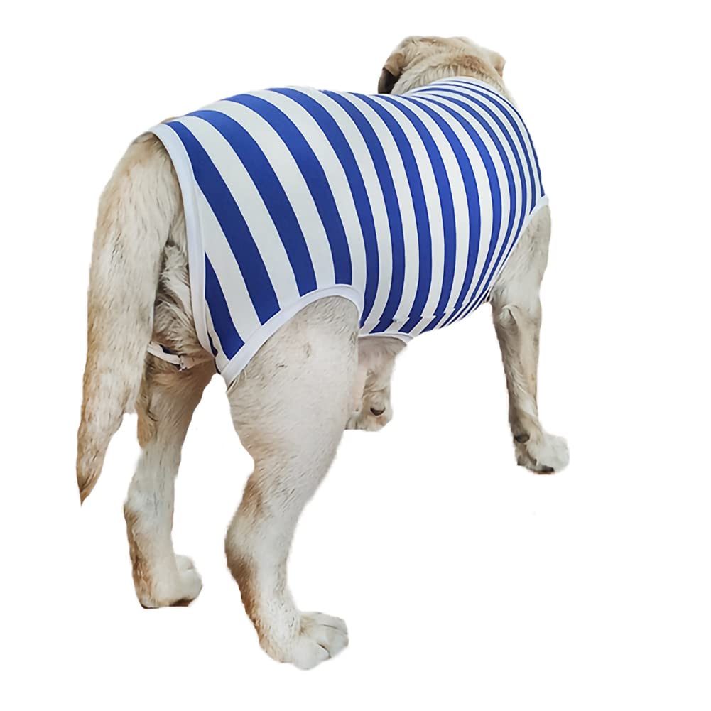 Dogs Recovery Suit Post Surgery Shirt For Female Male Dog, E-Collar Alternative Wound Protective Clothes (Blue-White-2Xl)
