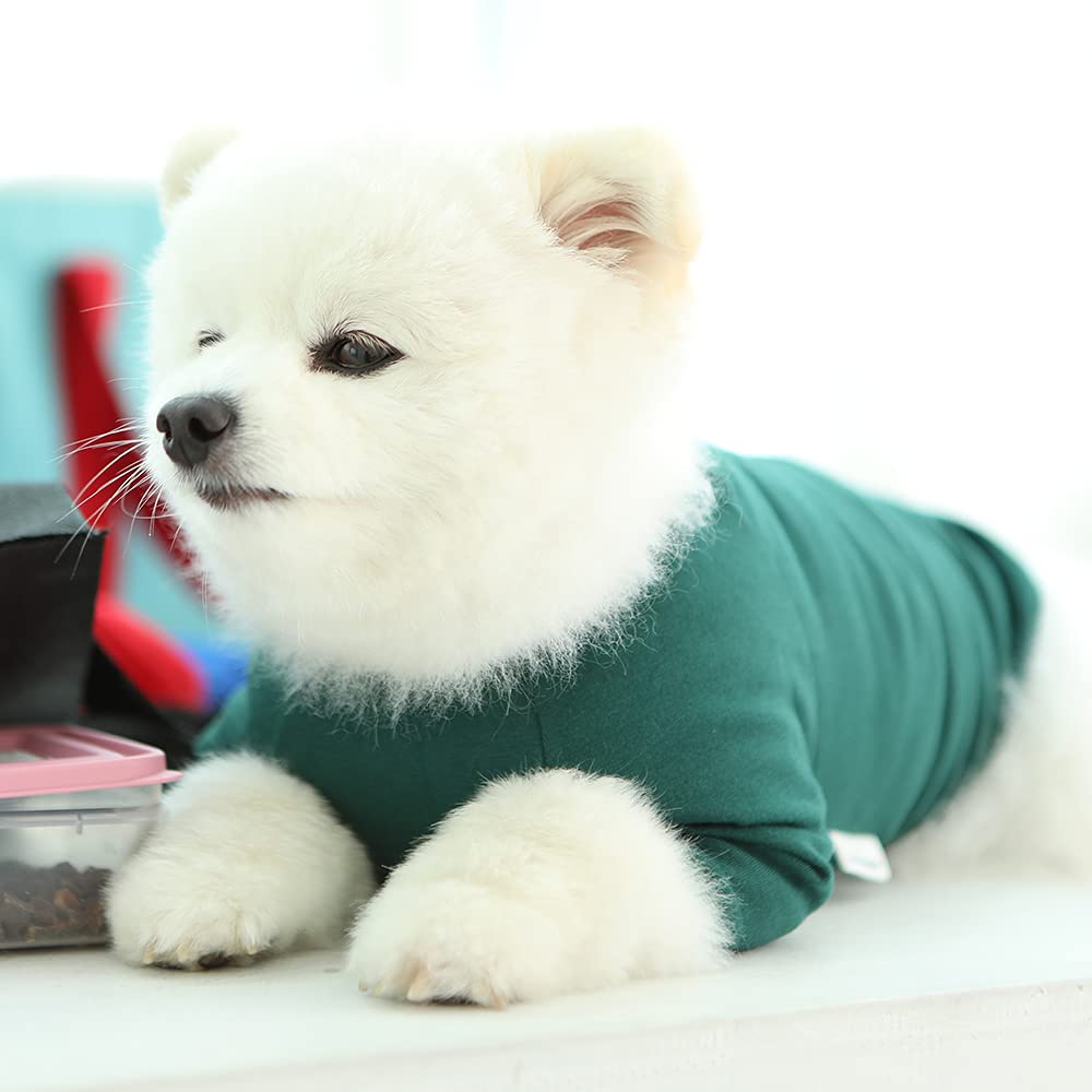 Lucky Petter Dog Shirt For Small Dogs Plain T-Shirts Soft Breathable Dog Cotton Shirt Pet Clothes (Medium, Green)