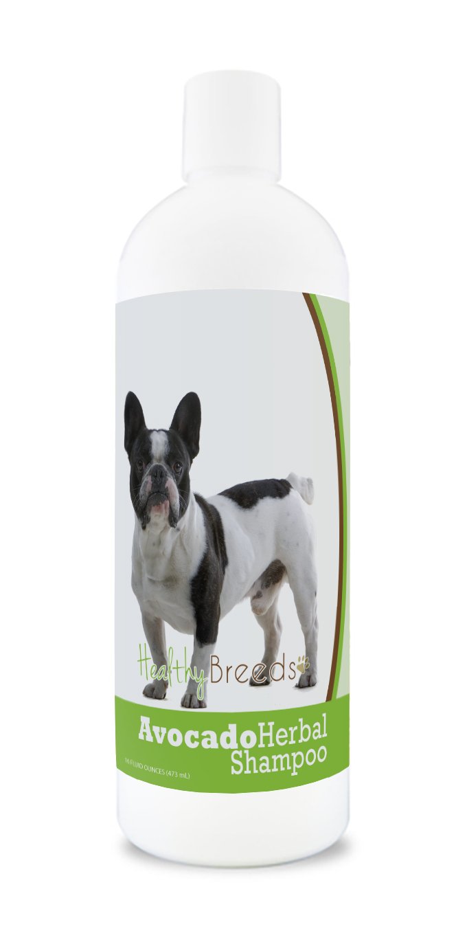 Healthy Breeds French Bulldog Avocado Herbal Dog Shampoo 16 Oz