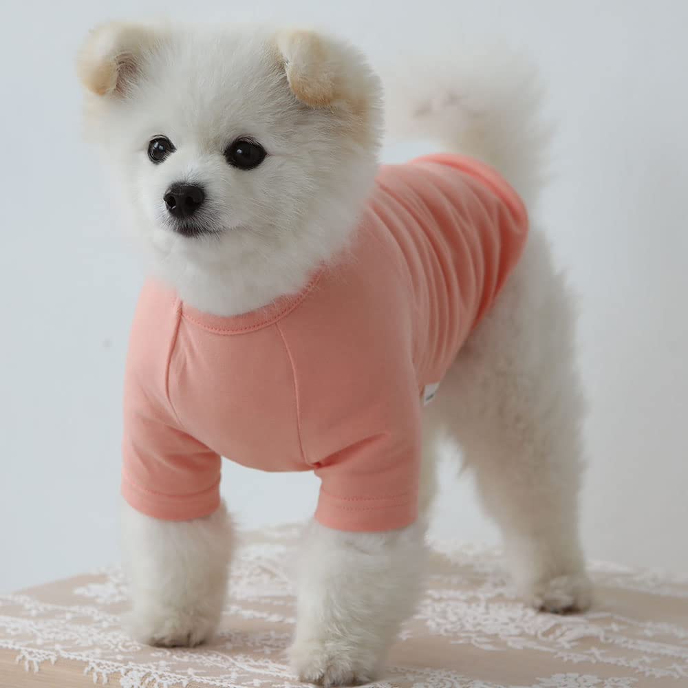 Lucky Petter Dog Shirt For Small Dogs Plain T-Shirts Soft Breathable Dog Cotton Shirt Pet Clothes (Large, Peach)