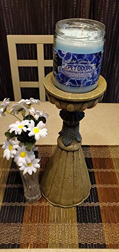 0 Unknown Pet Oder Exterminator Blue Serenity Candle