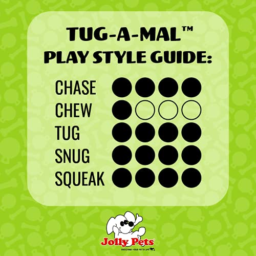 Jolly Pets Jolly Tug-A-Mal Turtle Tug/Squeak Toy, Large