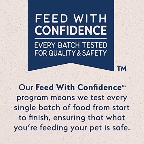 Natural Balance Original Ultra Platefulls Indoor Adult Grain Free Wet Cat Food, Turkey & Duck Recipe, 3 Ounce Pouch (Pack of 24)