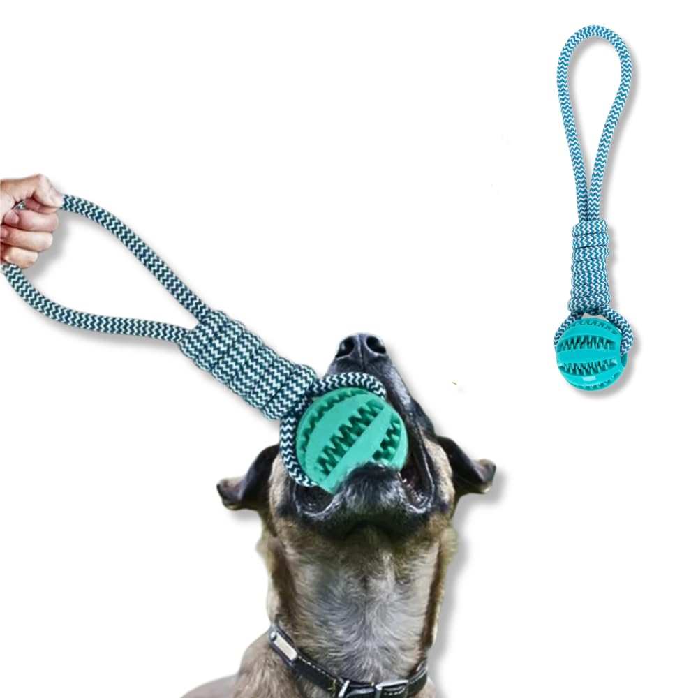 Crysendo Interactive Dog Rope Toy With Rubber Chew Ball, Blue, Training Toy