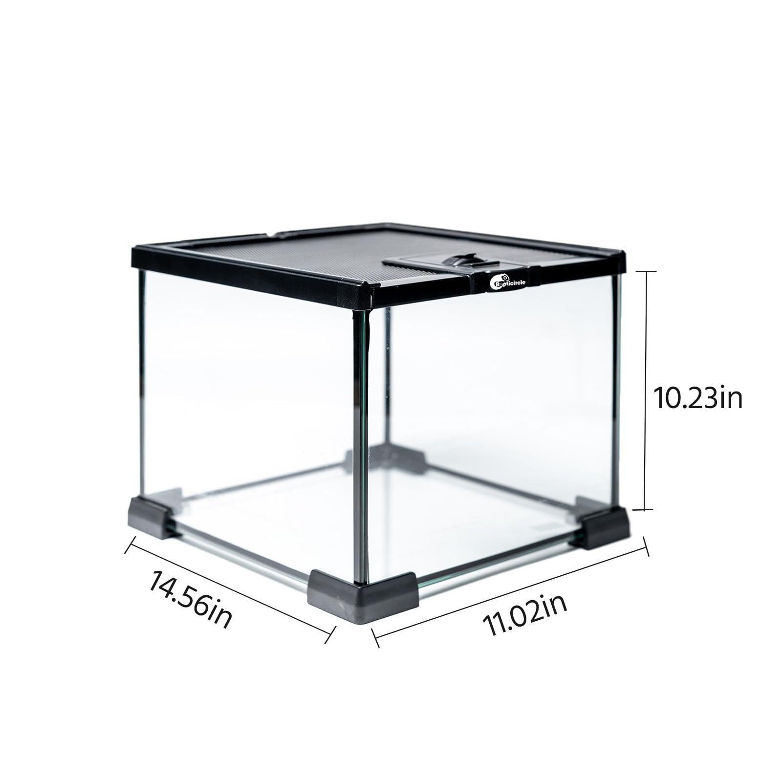 Repticircle Gallon Full Glass Reptile Tank, Medium Terrarium For Gecko, Hermit Crab, Hognose Snake & More, With Top Screen Venti