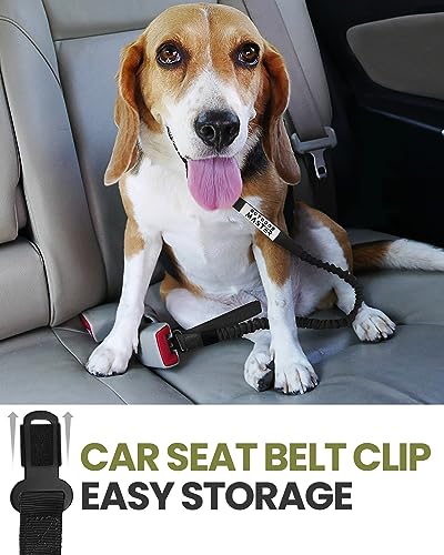 Outdoormaster Bungee Dog Leash, Heavy Duty Dog Leash With Shock Absorption, 2 Padded Handles Training Leash, Improved Dog Safety And Comfort - Black Upgraded, 4 Ft