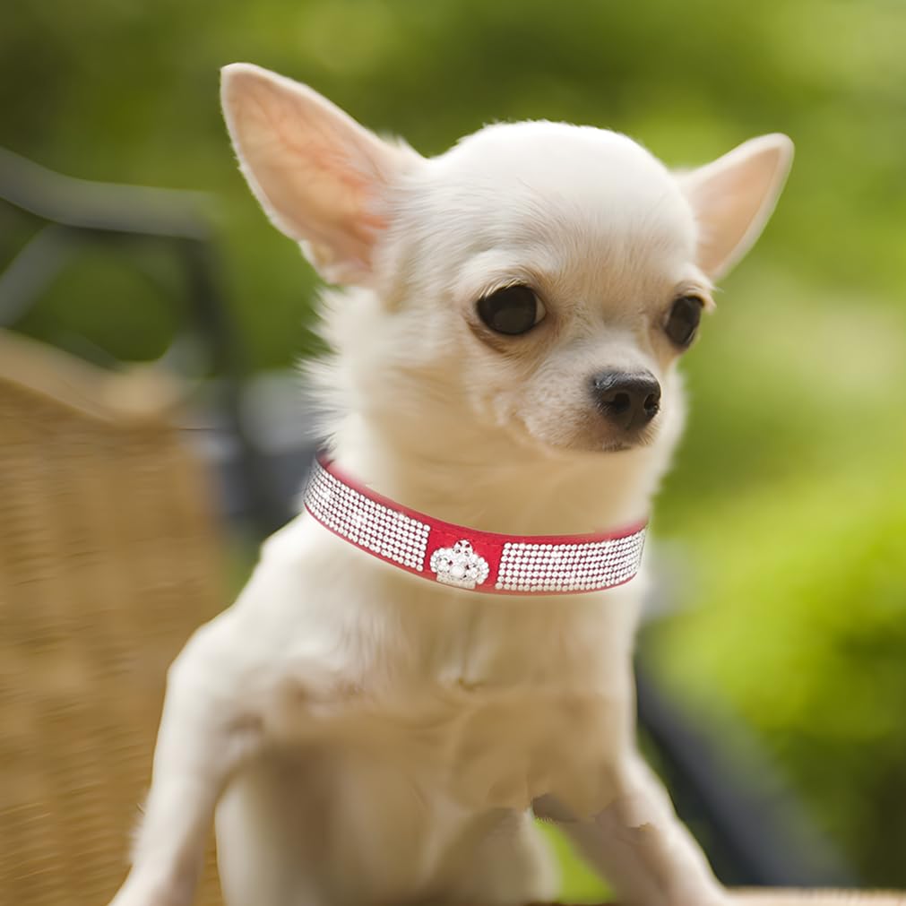 Red Girl Dog Collars For Small Dogs, Rhinestone Dog Collar,Diamond Puppy Collars Bling Cat Collar Pretty Jewel Glitter Sparkly P