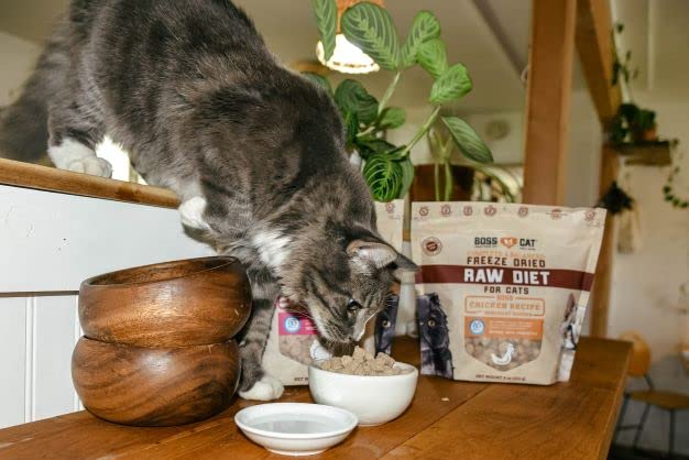 Boss Cat Complete & Balanced Freeze Dried Raw Diet for Cats, Chicken Recipe, 9 oz Bag