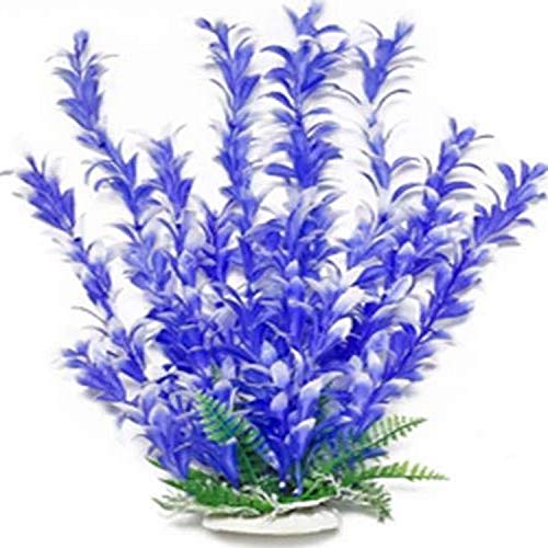 Aquatop Atp Plnt Bacopa Bl/Wh 16In