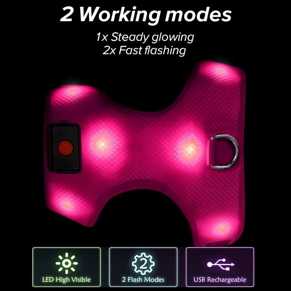 DOMIGLOW Light Up Dog Harness, No-Pull LED Dog Harness Light, Rechargeable Glowing Pet Harness for Night Walking & Camping (Hotp