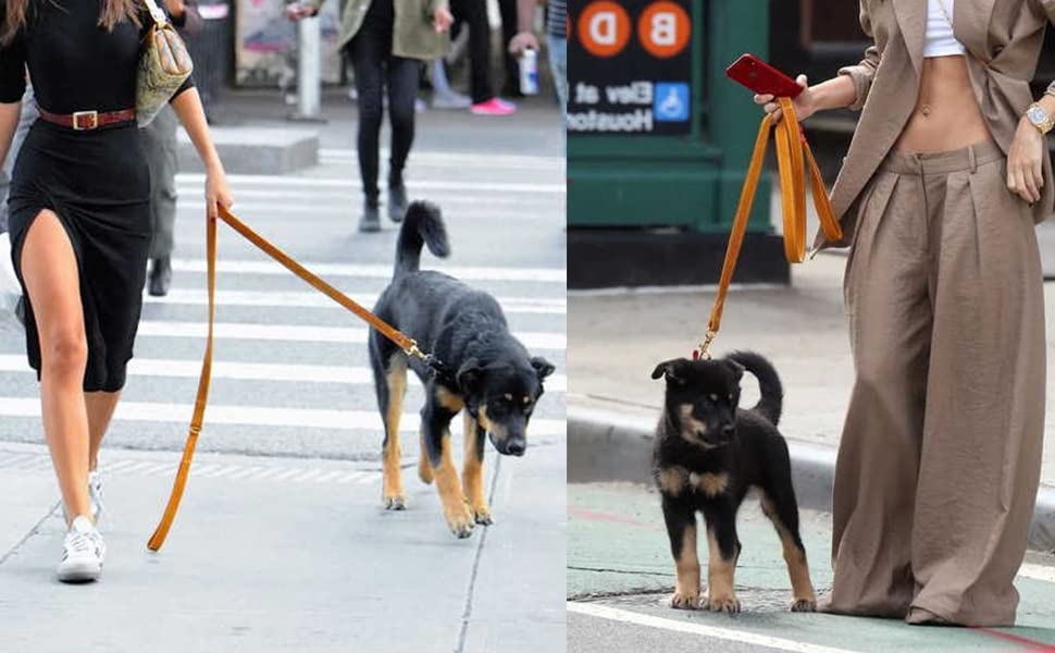 Ewinoom Soft Cotton Dog Leash, 5 Ft Heavy Duty Corduroy Dog Leashes With Gold Metal Hook For Small Medium Large Dogs,Small,Orang