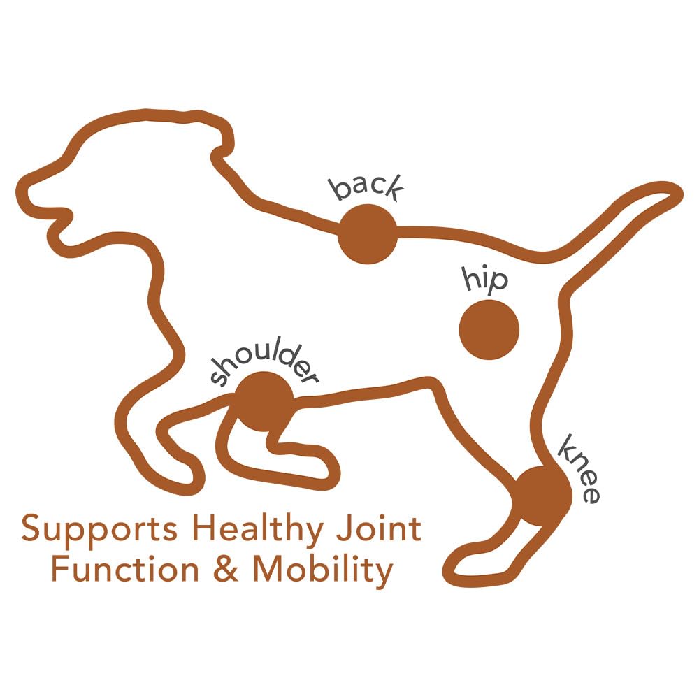 Vets Best Hip & Joint Soft Chew Dog Supplements | Formulated with Glucosamine & Chondroitin to Support Dog Joint & Cartilage He